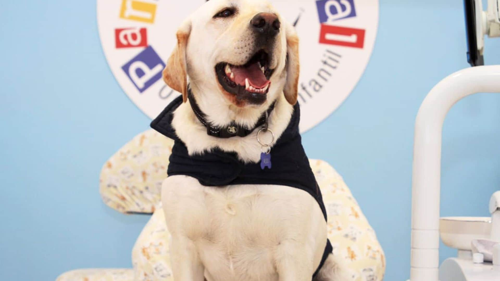 Pet of the week: This adorable dog is a dental assistant for children in Ecuador