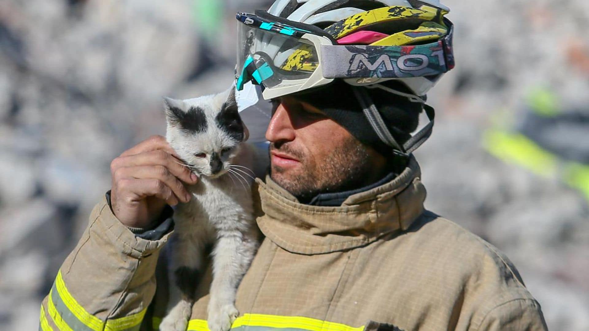 "Enkaz" the cat won't leave the side of its rescuers in quake-hit Gaziantep