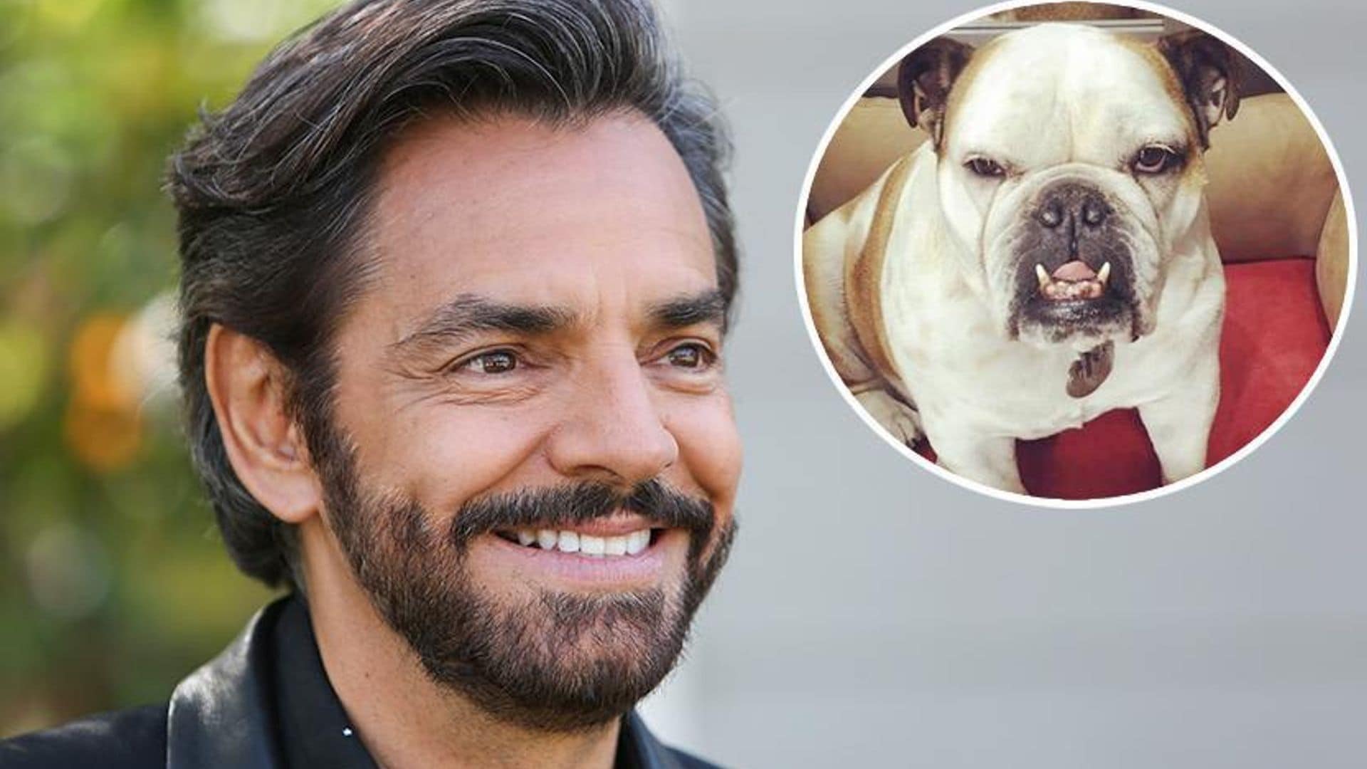 Eugenio Derbez reveals his dog Fiona got sick from missing him