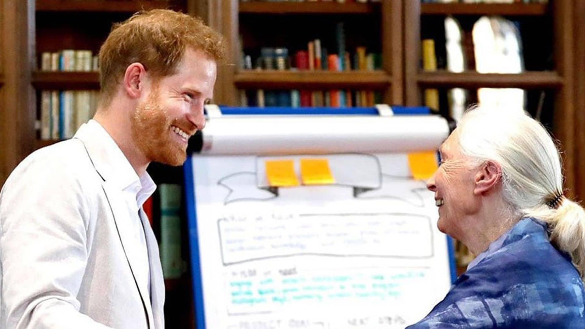 Watch Prince Harry’s hilarious monkey greeting with Dr. Jane Goodall