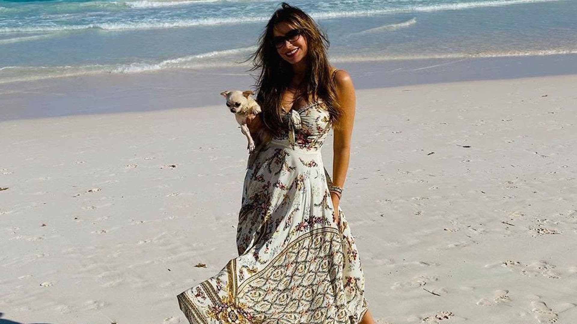 Sofia Vergara's picture perfect accessory while on vacation