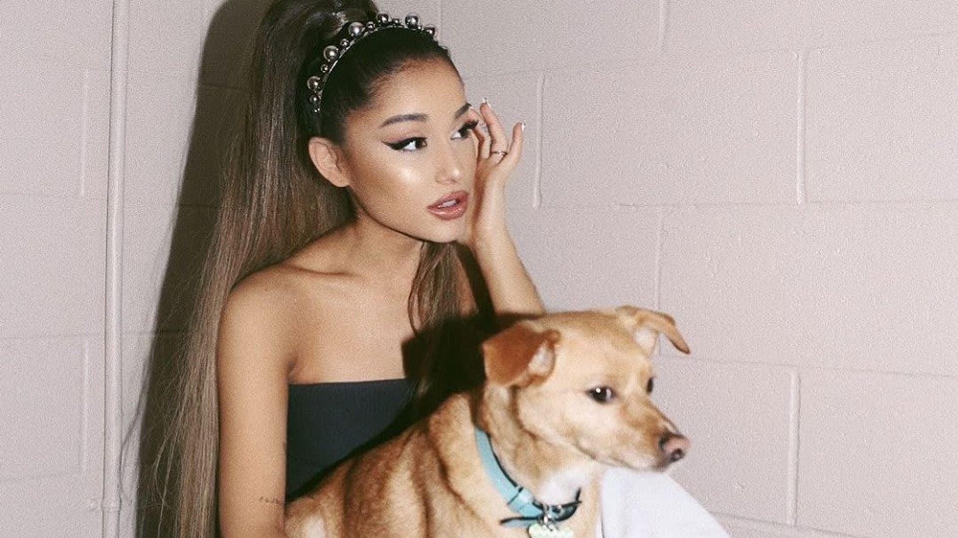 ariana grande animal rescue