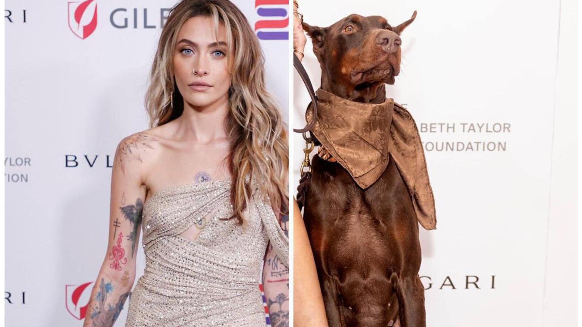 Pet of the week: Paris Jackson and her adorable dog Koa walk the red carpet together