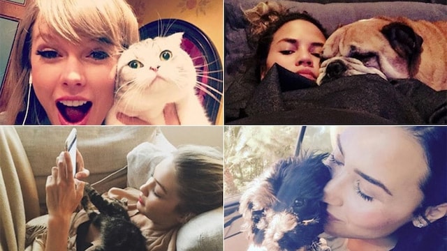 As Taylor Swift claims three of the year's most popular Instagram posts alongside her cat Meredith Grey, we take a look at the other celebrities who love to pose with their pampered pets on social media.
<br>
From Kylie Jenner to Kaley Cuoco, click through the gallery to see the cutest celebrity pets.
<br> Photo: Instagram