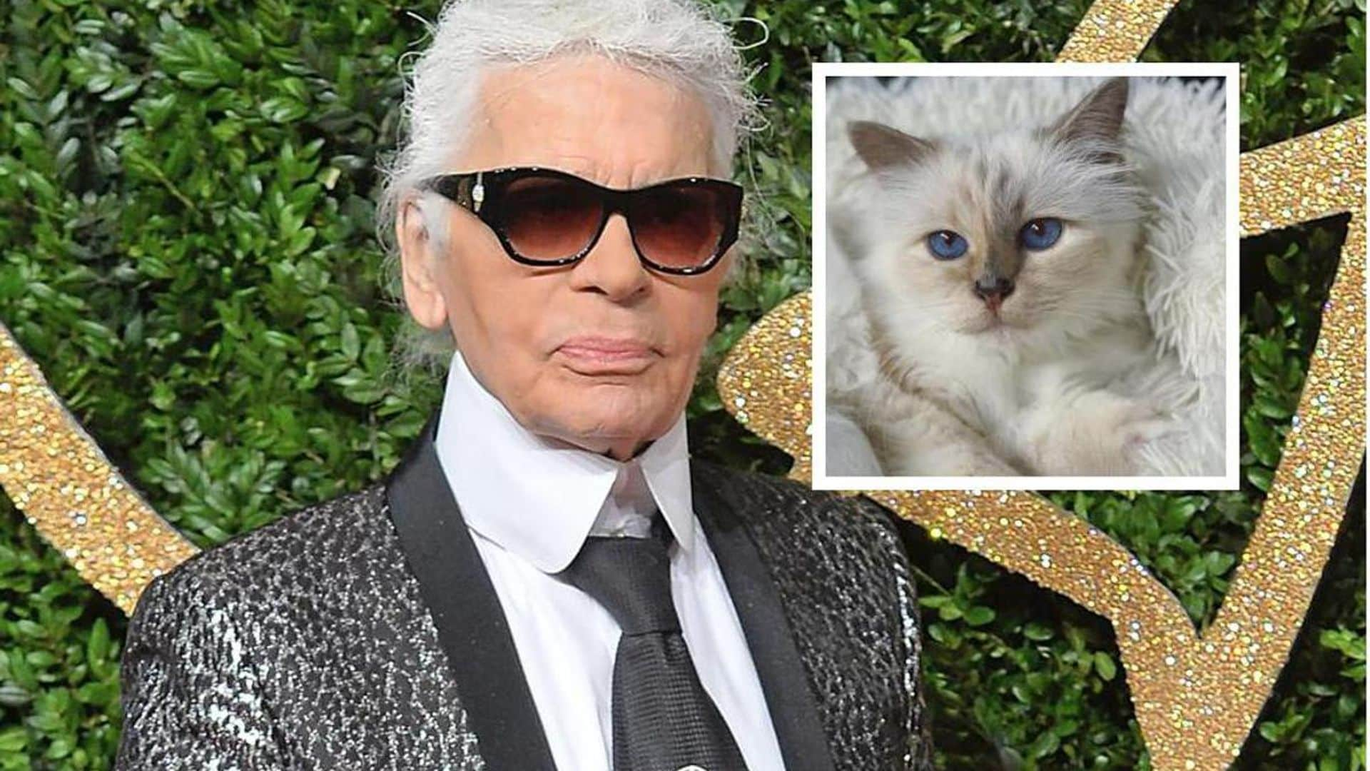 Met Gala’s special guest revealed: Karl Lagerfeld’s cat Choupette