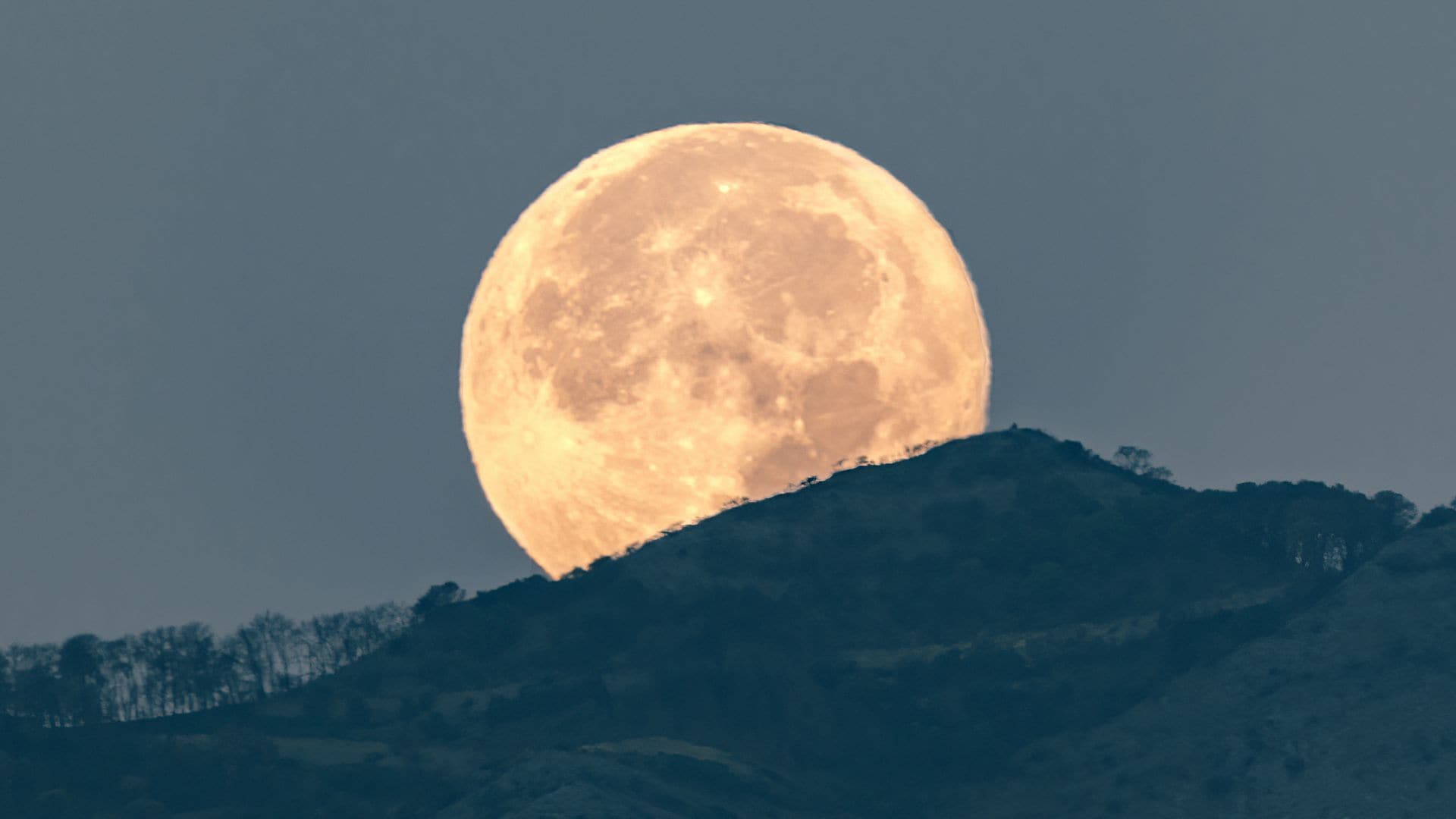 Full Moons in 2025: See the dates, starting with the Wolf Moon