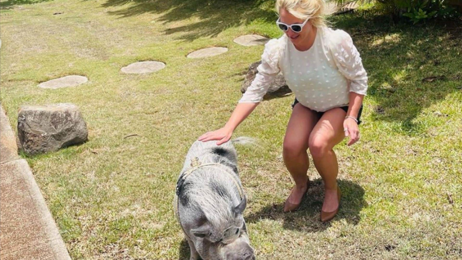 Britney Spears reveals she spends time with animals to deal with social anxiety