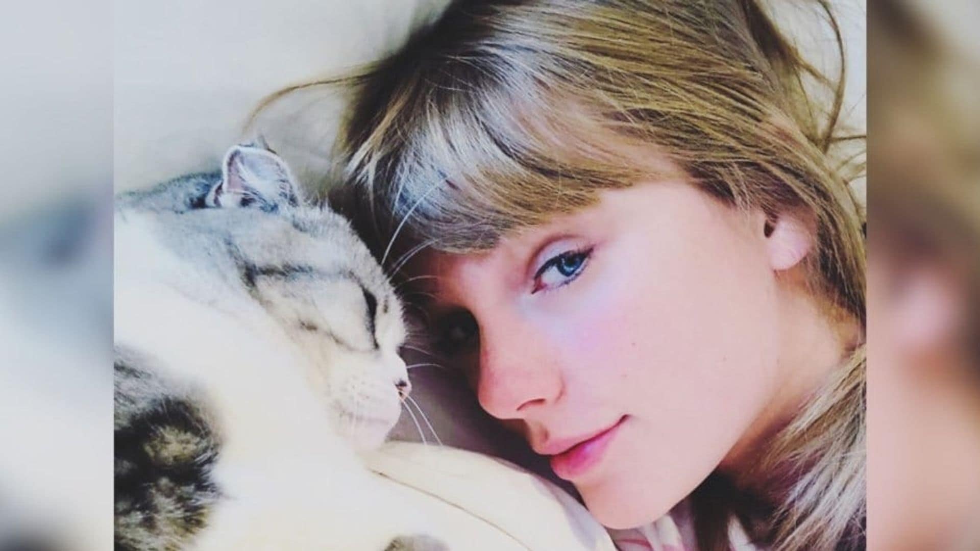 Taylor Swift with her cat