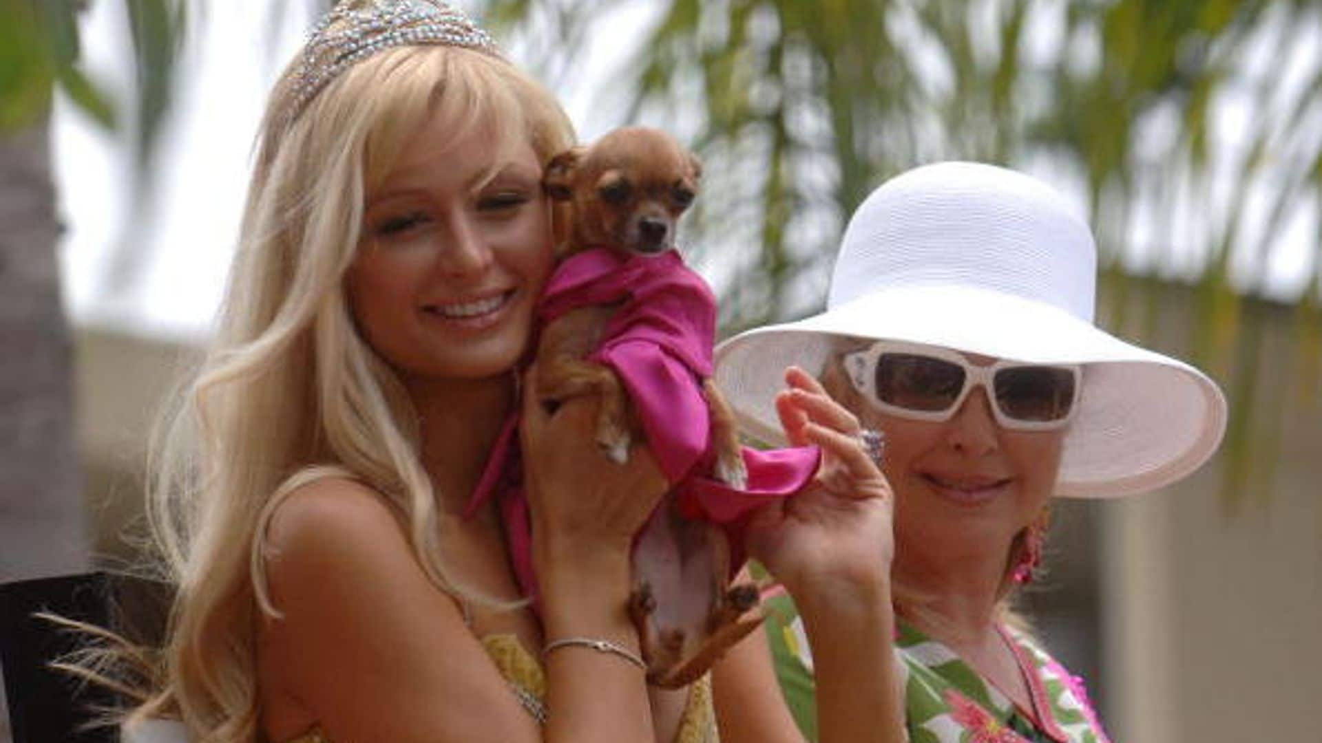 Paris Hilton heartbroken as pet dog Tinkerbell dies