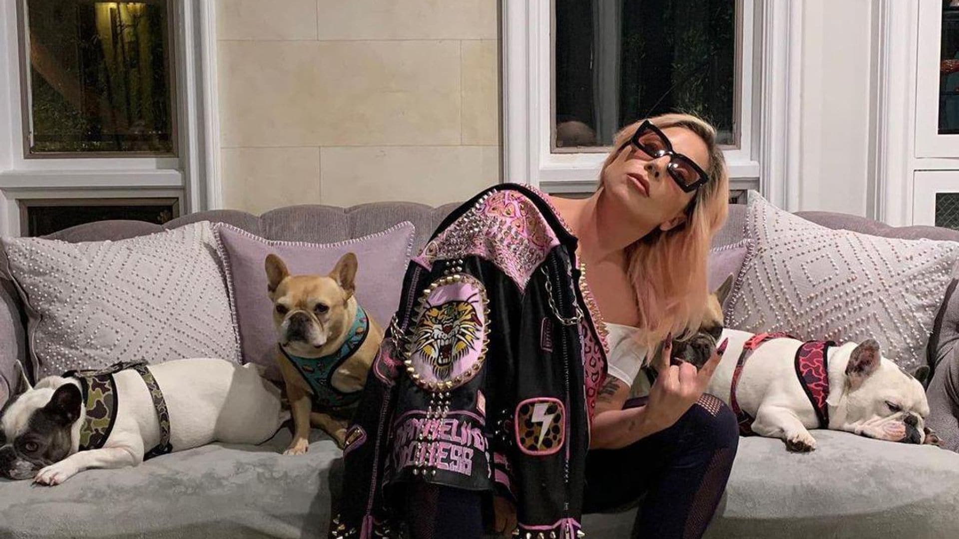 Lady Gaga sued by woman involved in her dognapping, seeking reward and other damages