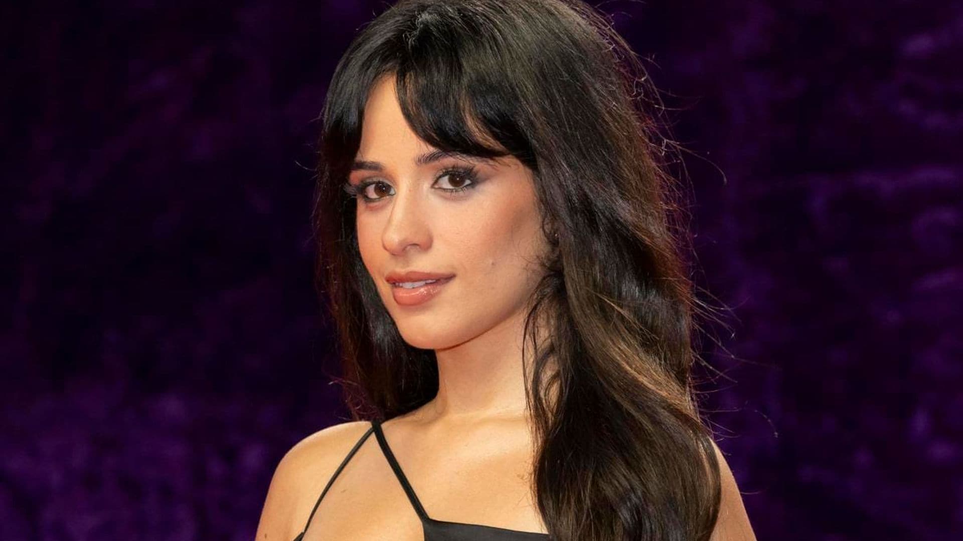 Camila Cabello turns up the heat in pink crop top and sheer black tights