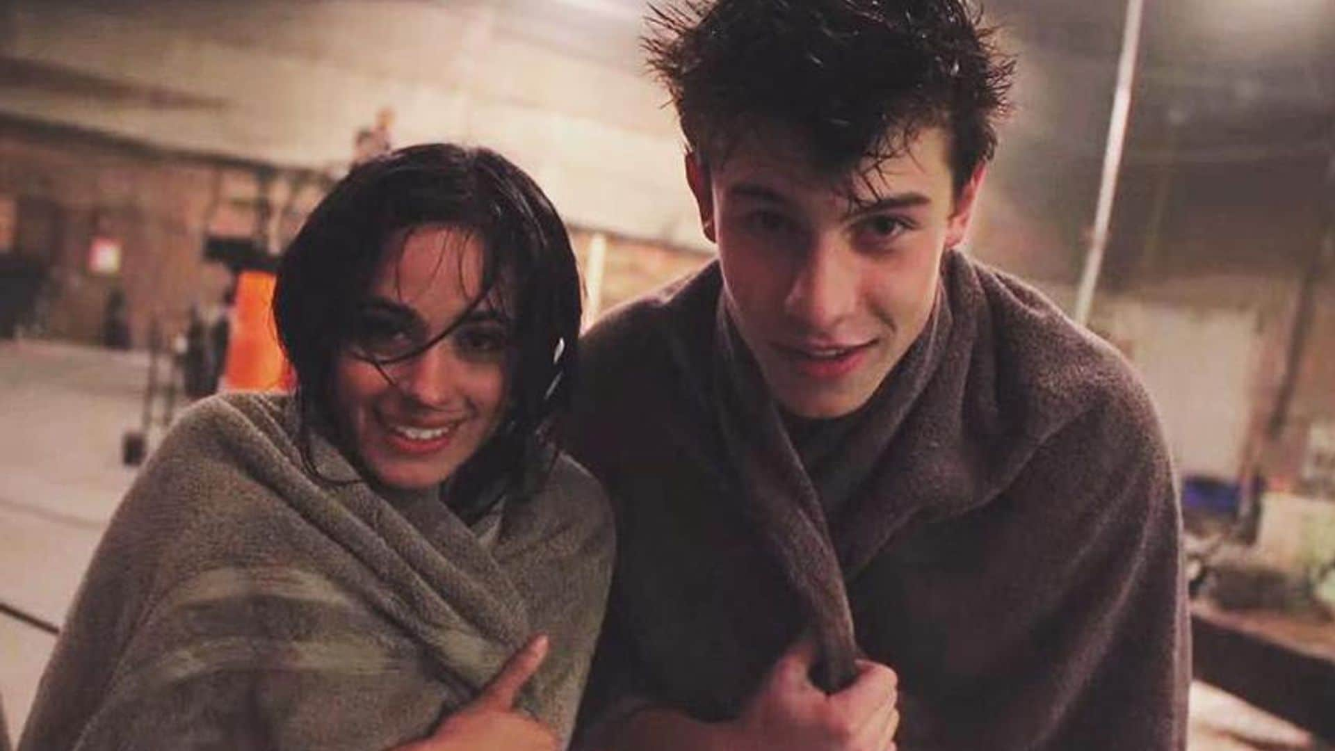 Camila Cabello and Shawn Mendes are not dating, but their friendship is picture-perfect