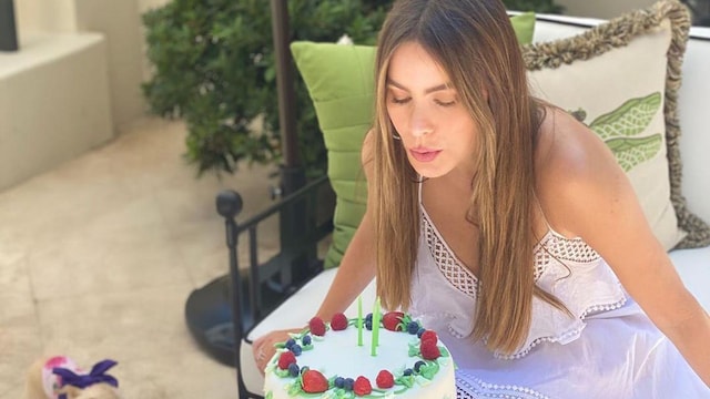 sofia vergara cake