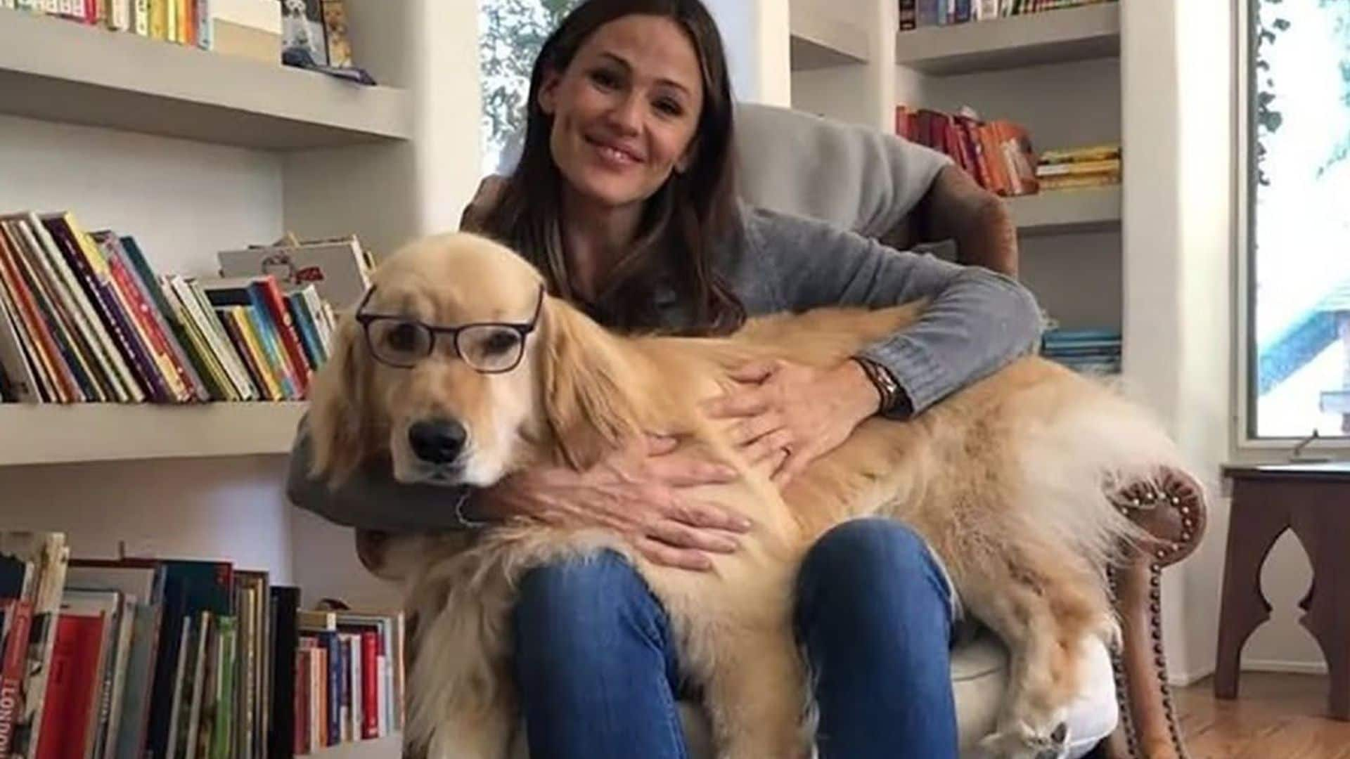 jennifer garner dog