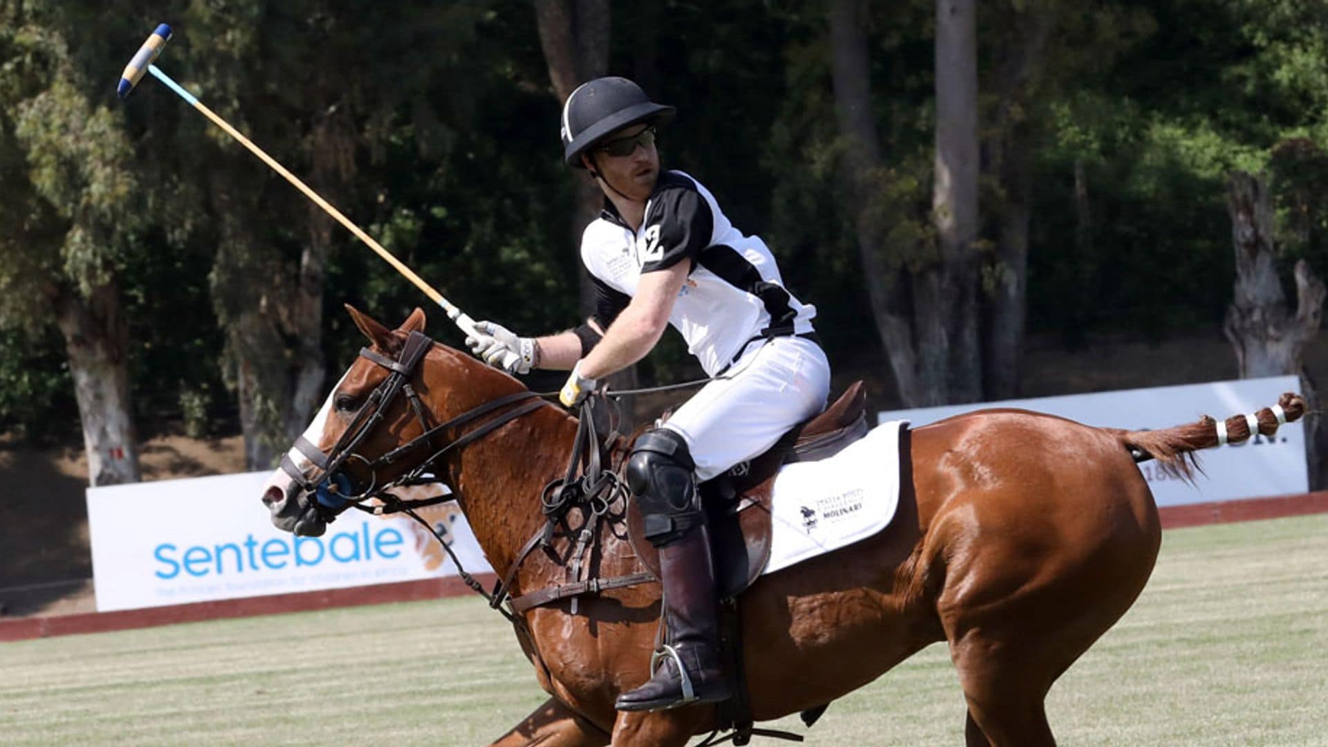 Prince Harry leaves Archie Harrison to participate in special polo match close to his heart