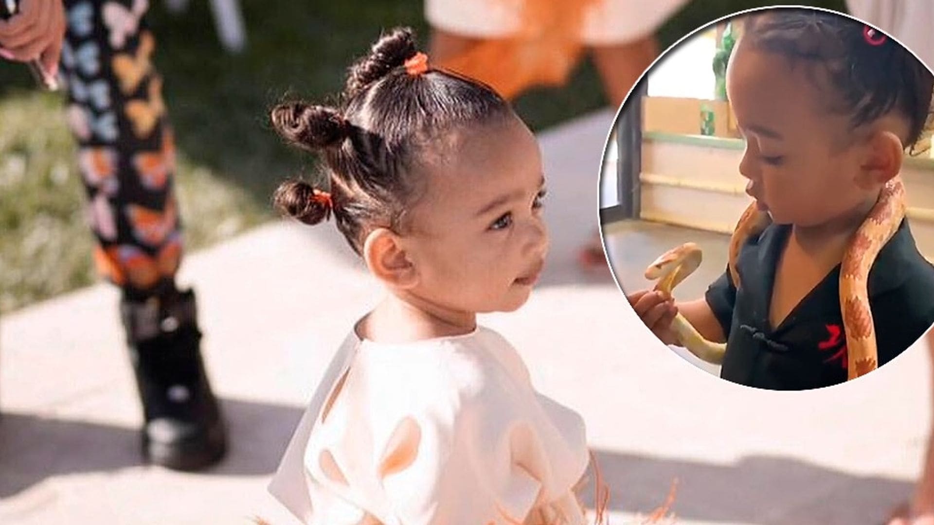 Kim Kardashian's daughter Chicago is a little 'reptile whisperer'