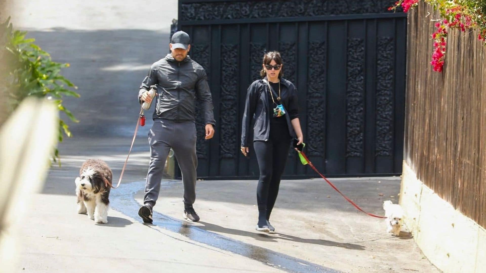 Ana de Armas was seen out walking her dog with a buff mystery man