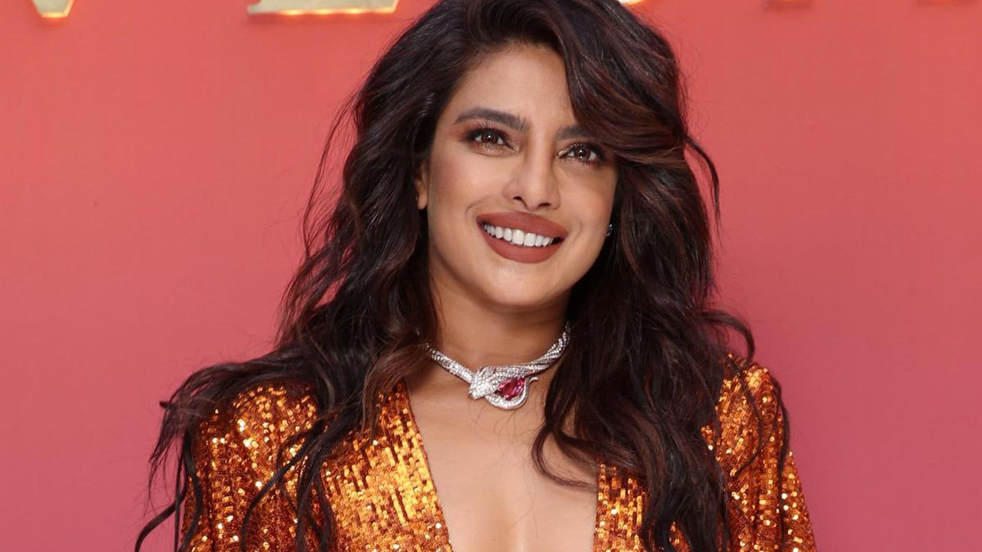 Priyanka Chopra says ‘There is nothing more powerful than a mother’s instinct to protect her own’