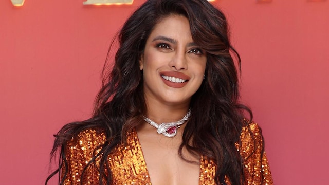 Priyanka Chopra says 'there is nothing more powerful than a mother's instinct to protect her own'