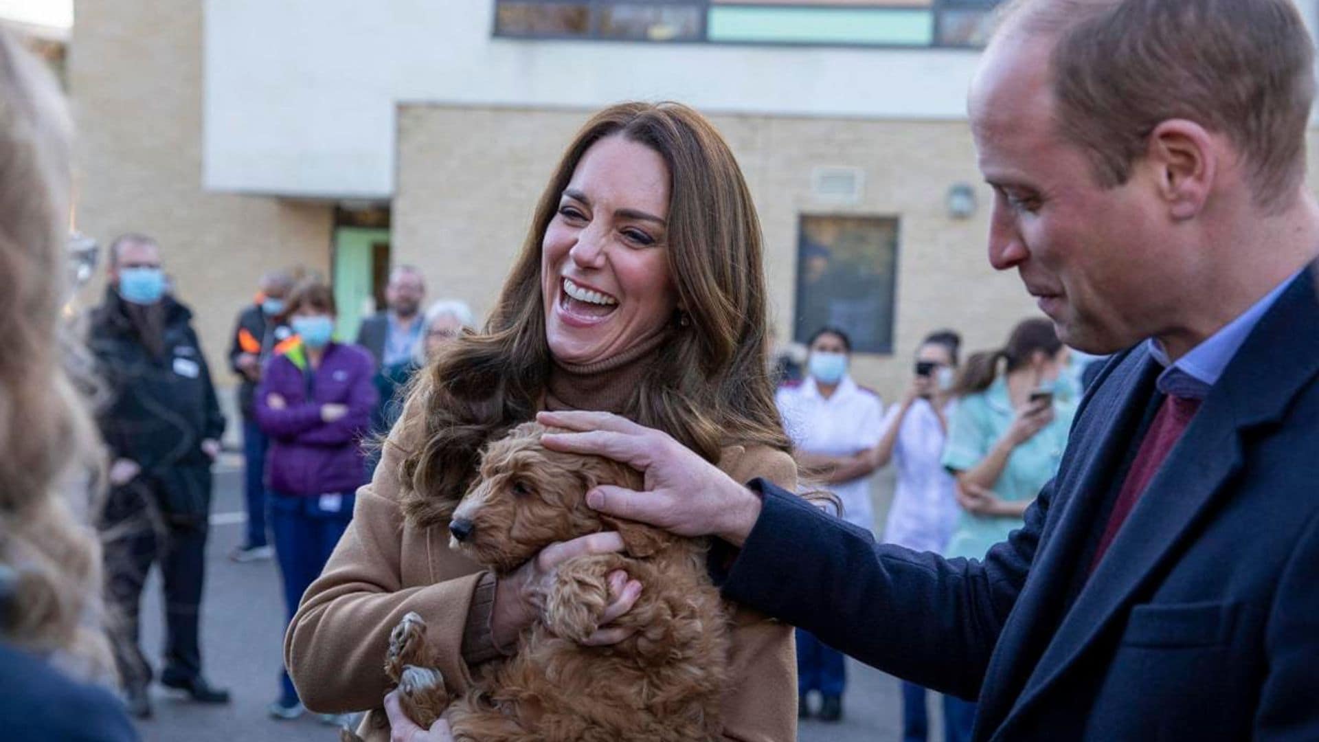 These photos of Prince William and Kate cuddling a puppy will bring a smile to your face