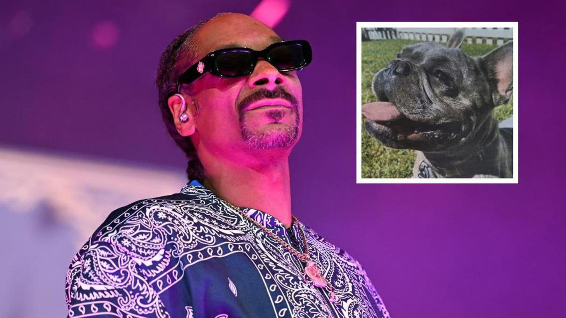 Snoop Dogg gets emotional after reuniting with his missing dog Frank: ‘We appreciate all the love’