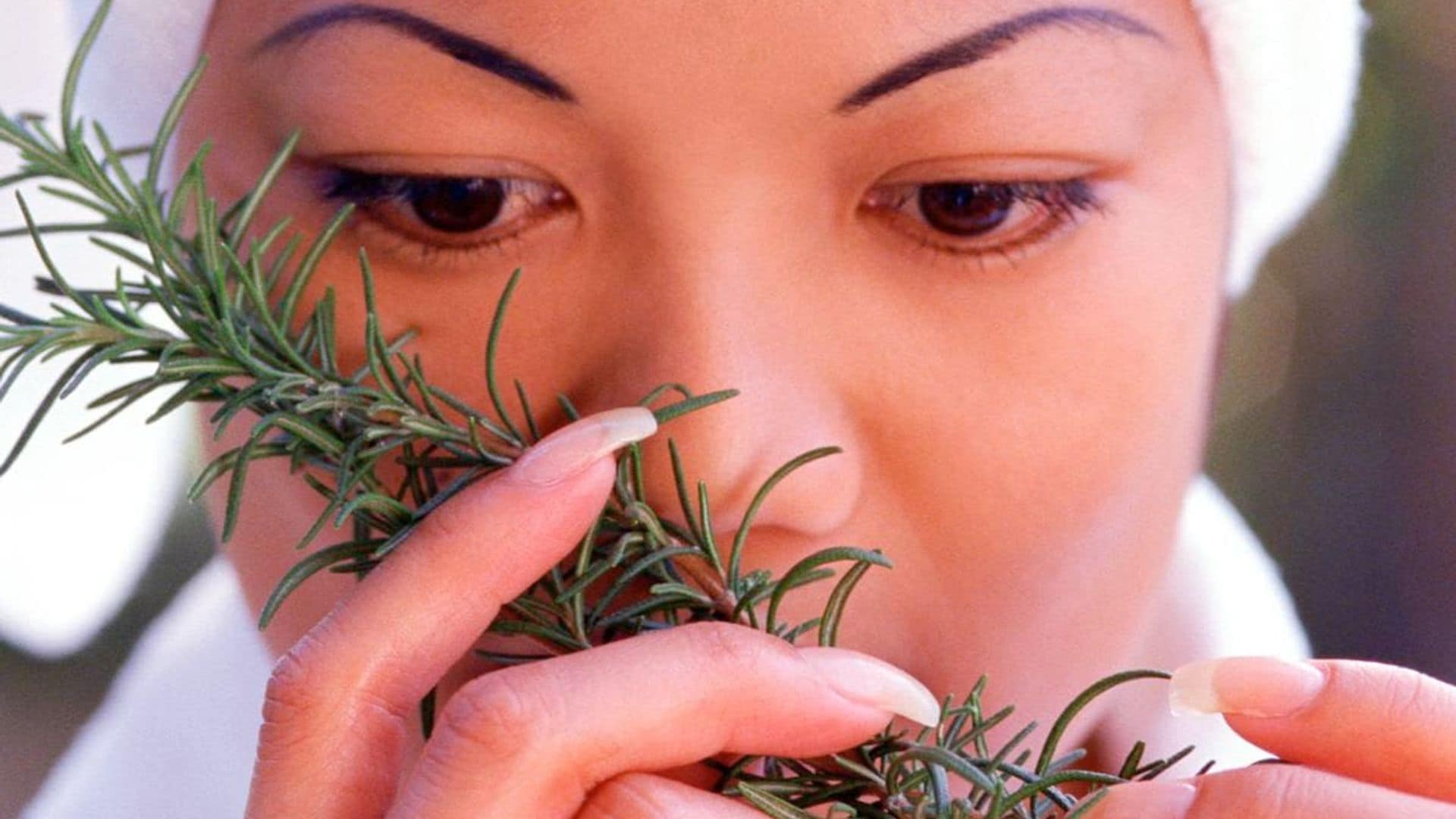 Benefits of rosemary oil for hair loss