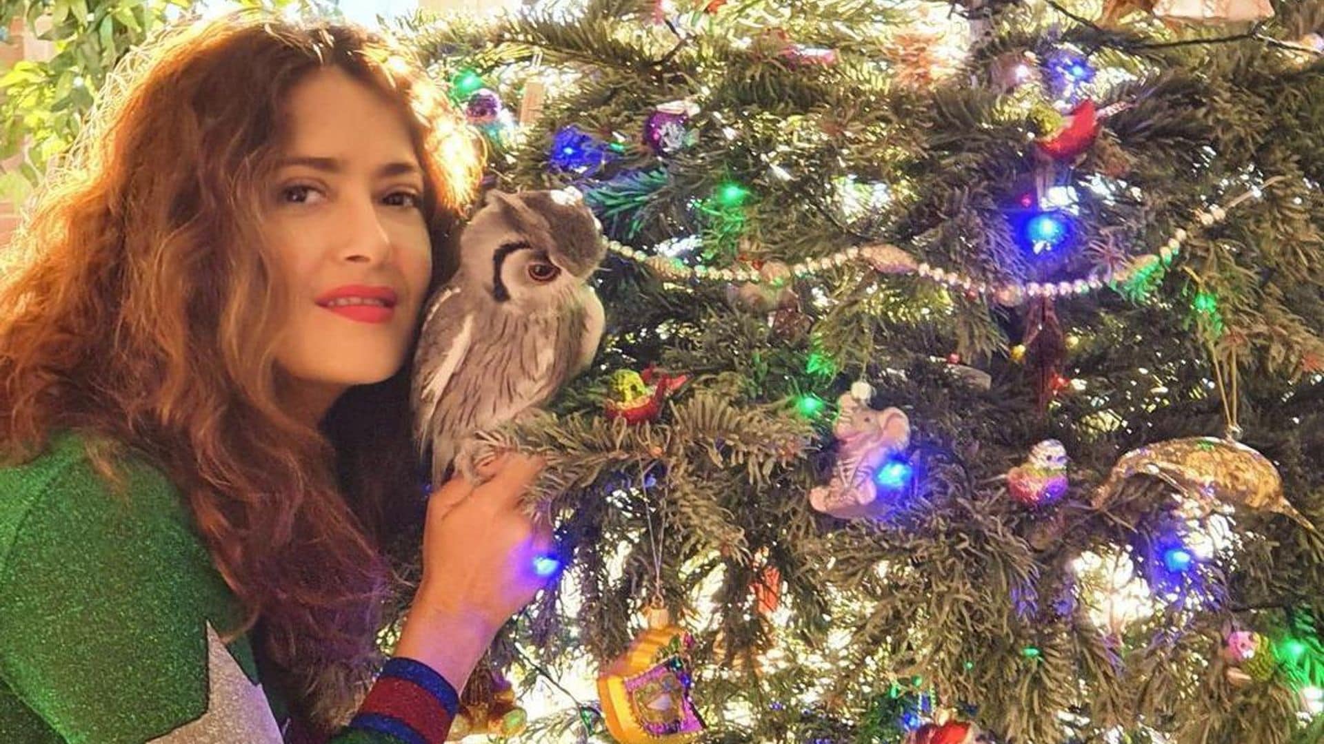 Salma Hayek’s holiday home and more celebrity Christmas decorations