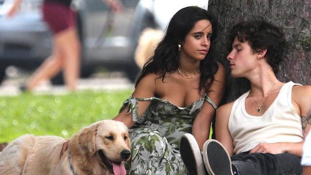 Camila Cabello and Shawn Mendes and their dog Tarzan