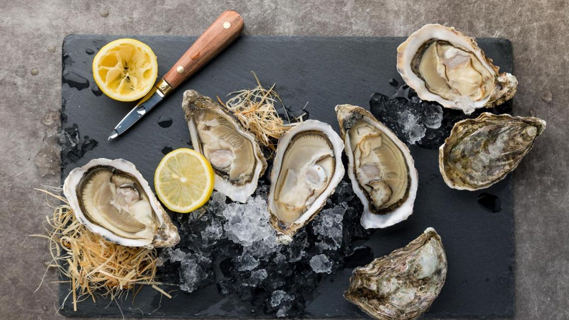 Oysters