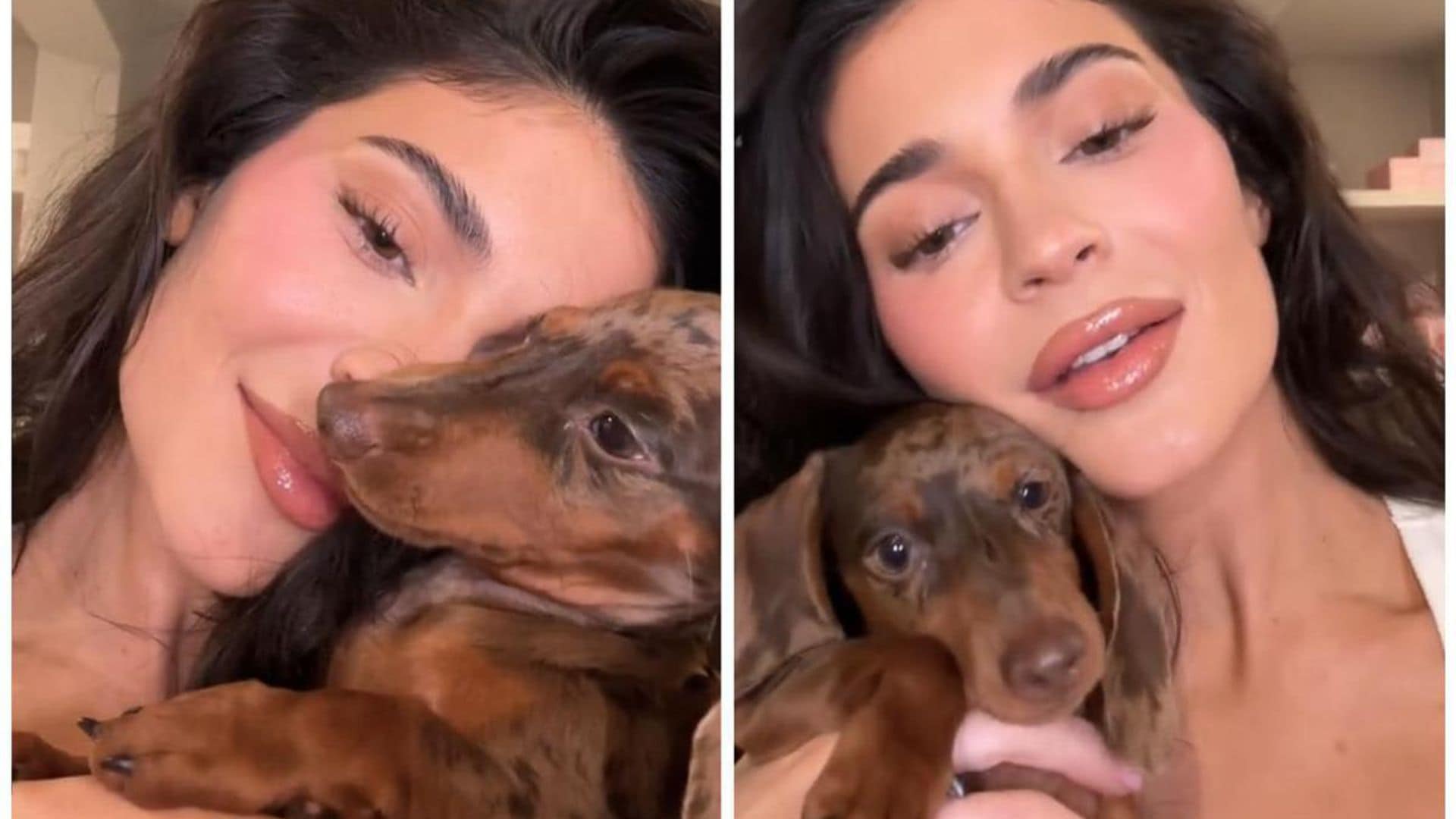 Pet of the week: Meet Moo, Kylie Jenner’s new adorable puppy