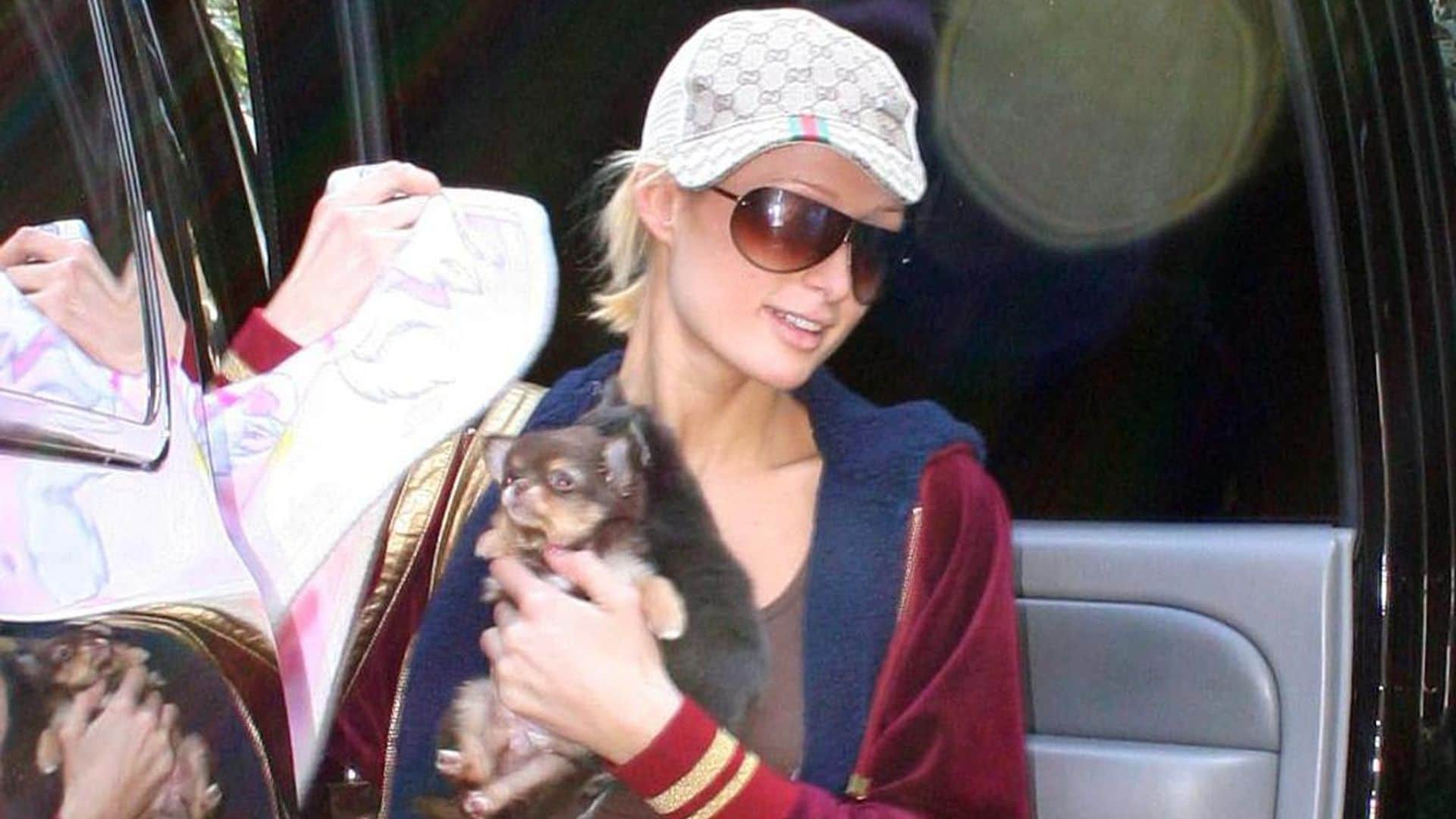 Paris Hilton mourns the loss of her 23-year-old chihuahua Harajuku