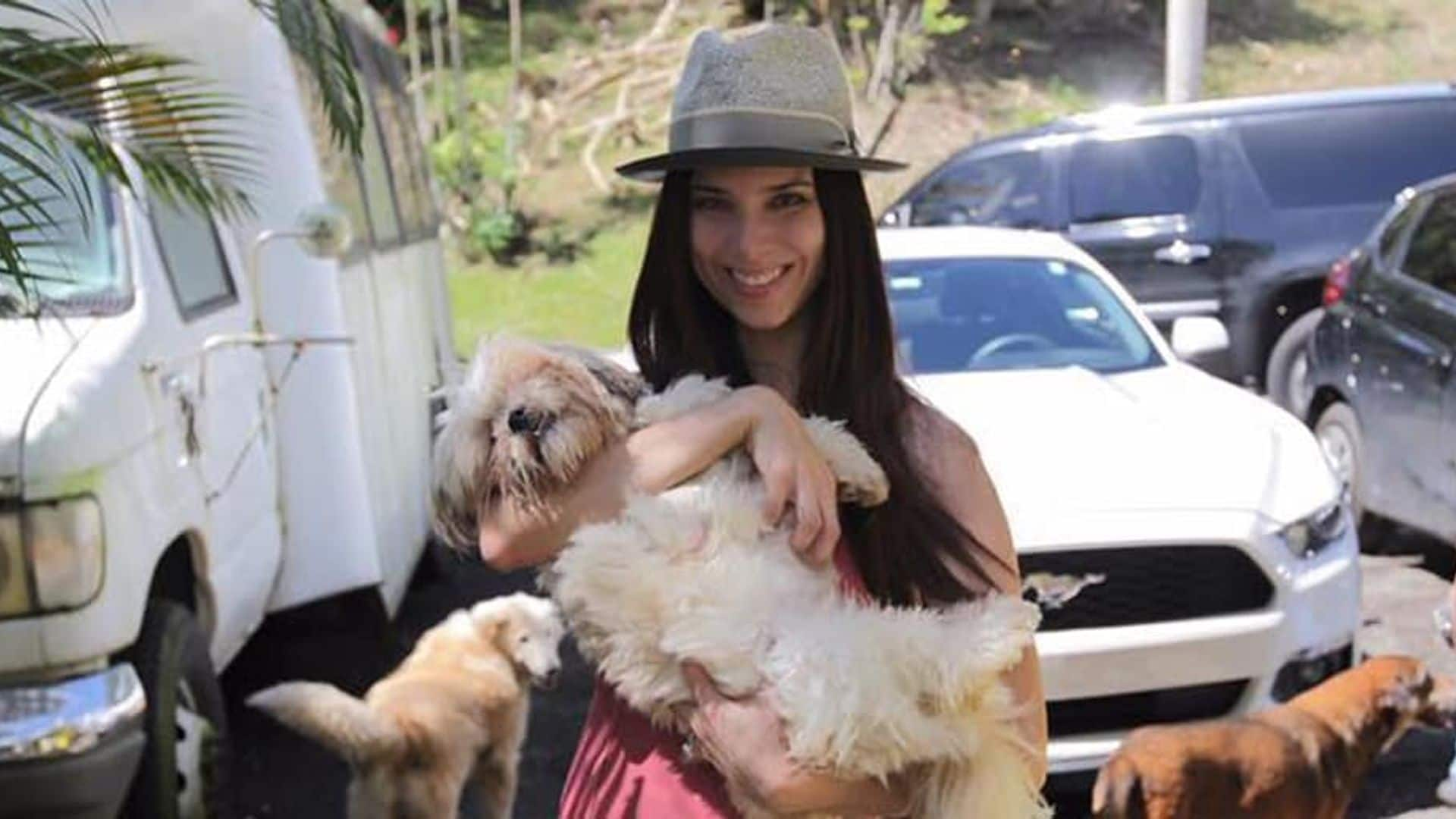 So cute! Roselyn Sanchez's rescue pup pals will make your day