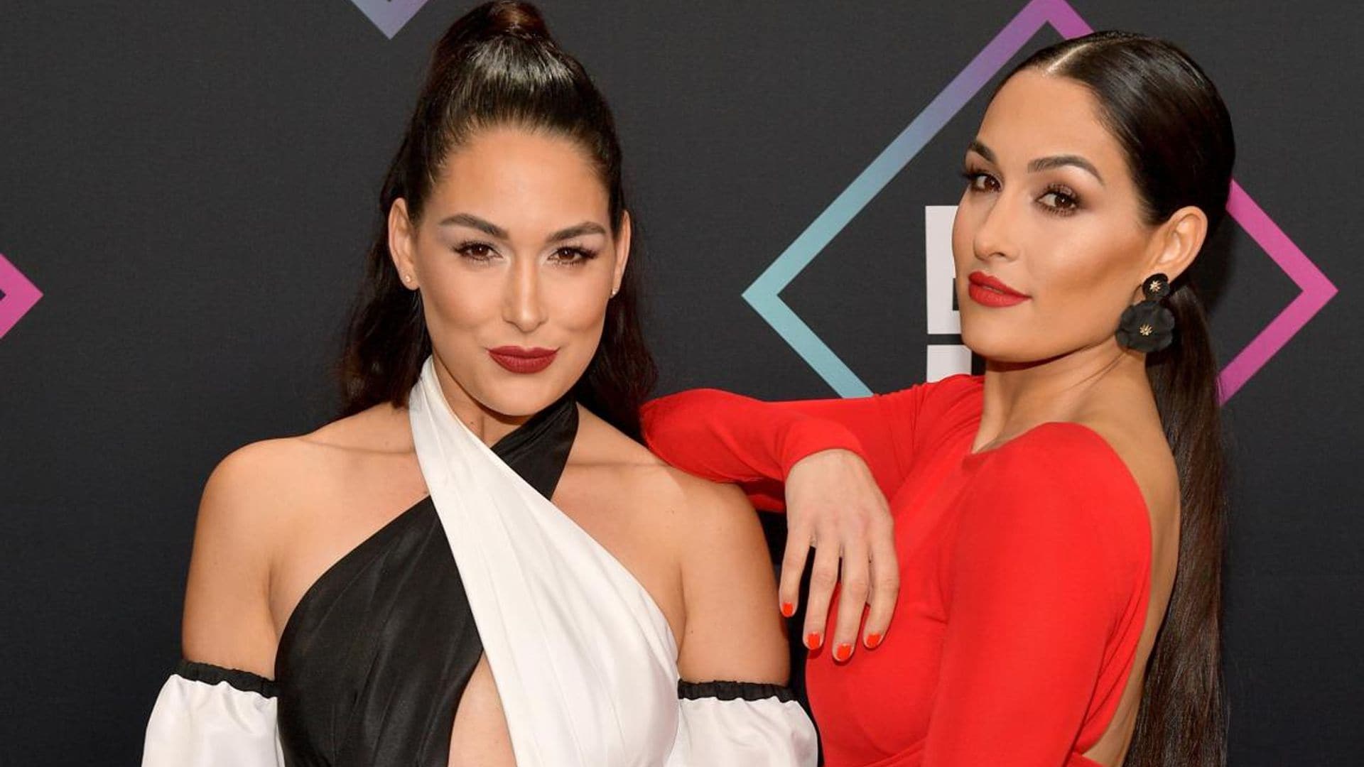 Twin sisters Nikki and Brie Bella are both pregnant - but did they plan it?