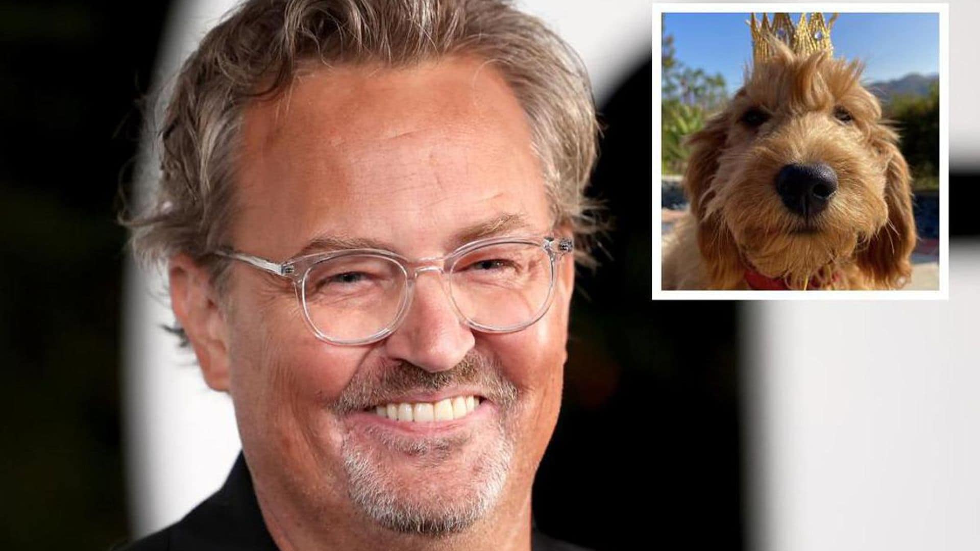 What will happen to Matthew Perry’s beloved dog Alfred?