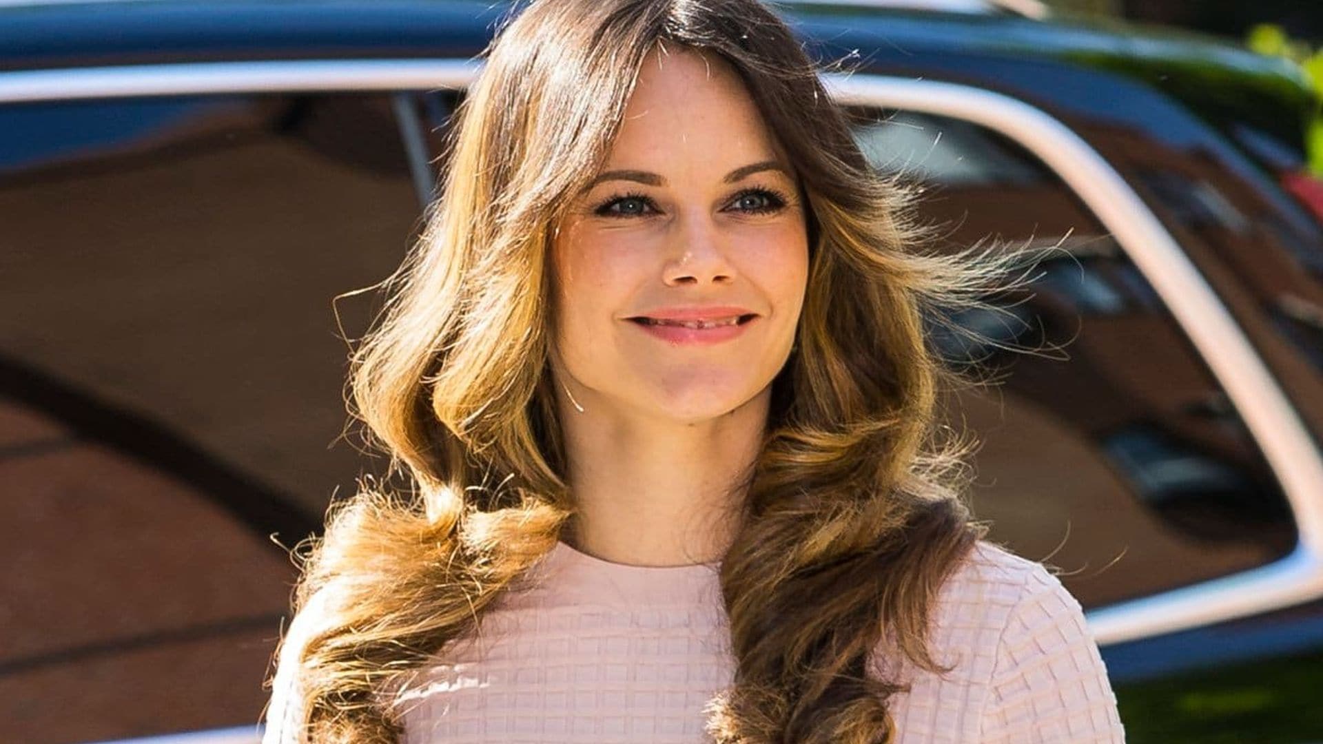 Princess Sofia of Sweden shows off her growing baby bump in a DVF dress