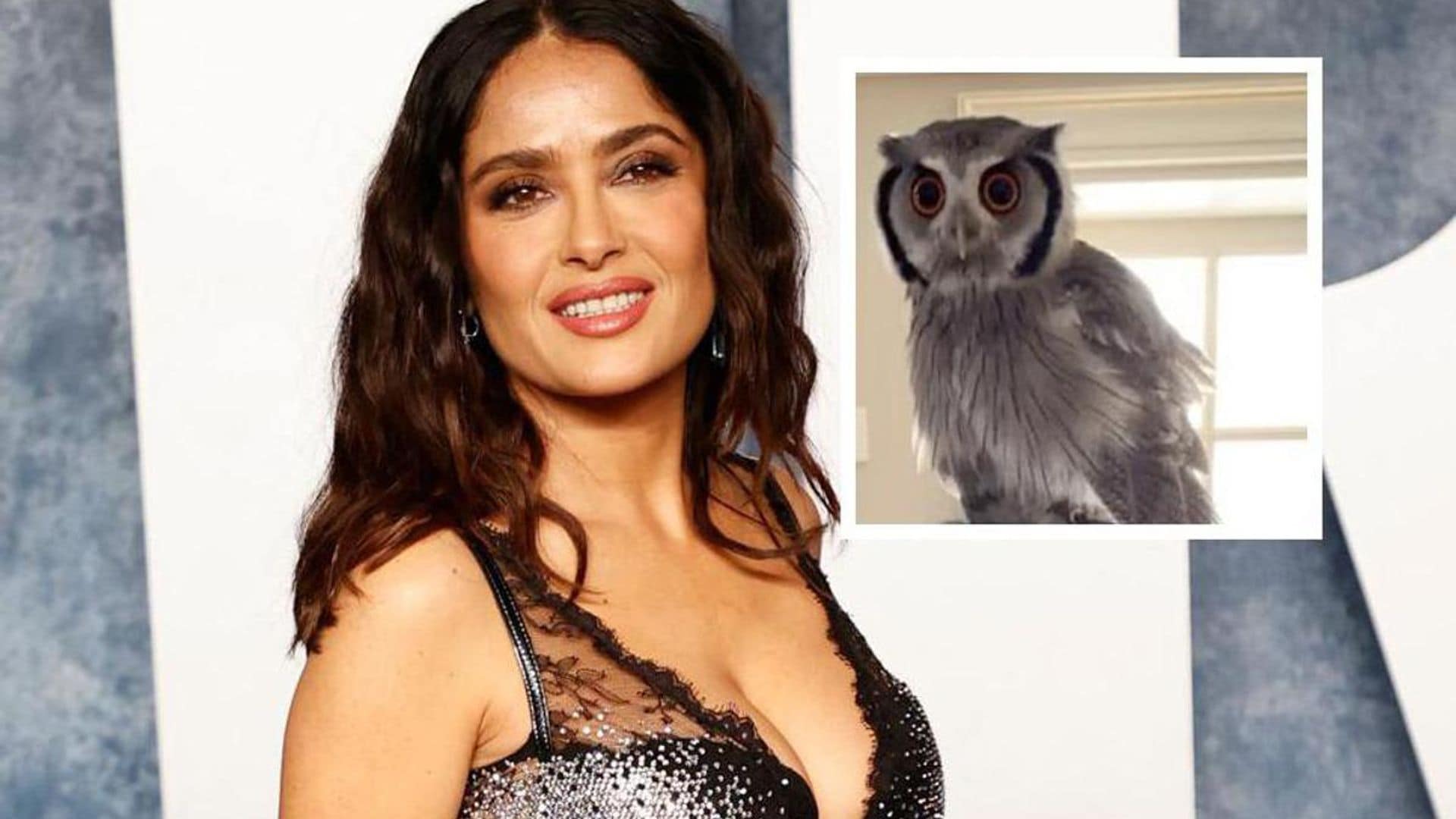 Salma Hayek celebrates National Pet Day with sweet tribute to her alpacas, horses and more