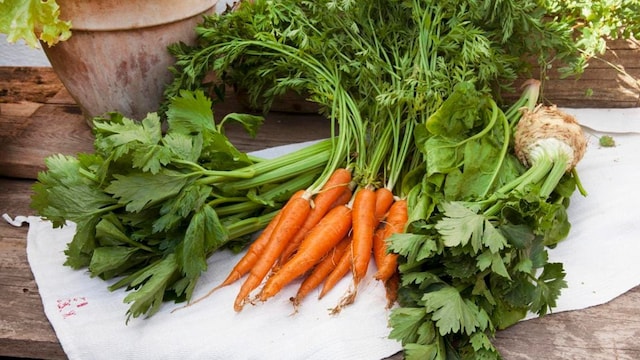 Various organic vegetables on a linen cloth on a wooden table: celery, carrots, spinach and celeriac