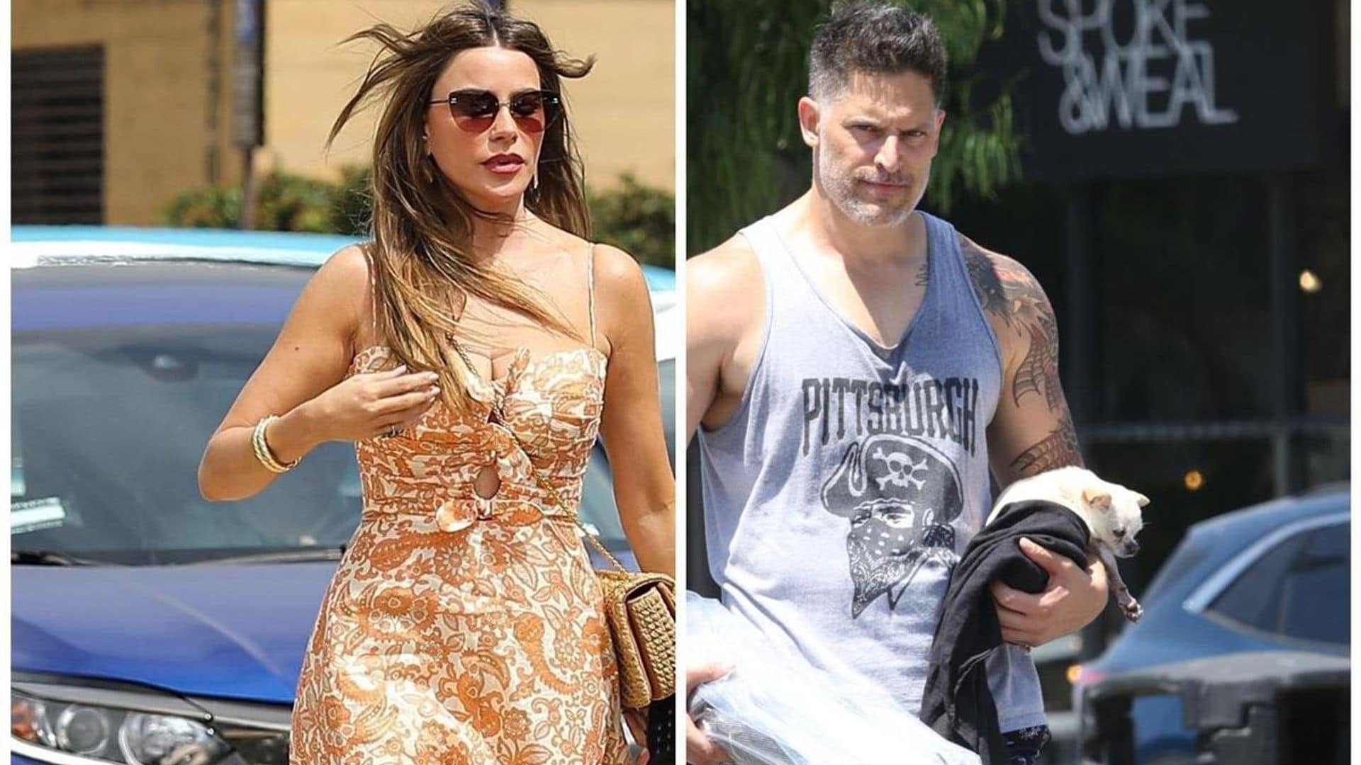 Sofia Vergara parties over the weekend: Joe Manganiello spotted without wedding ring for the first time