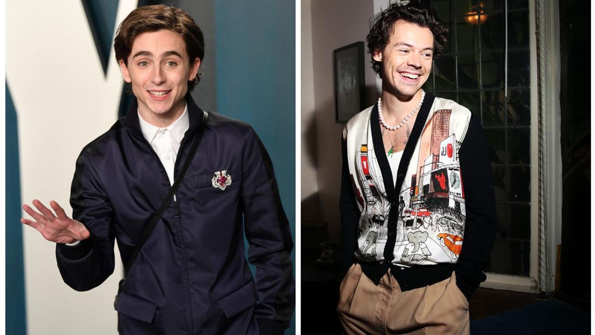 Timothée Chalamet impersonates Harry Styles in hilarious sketch