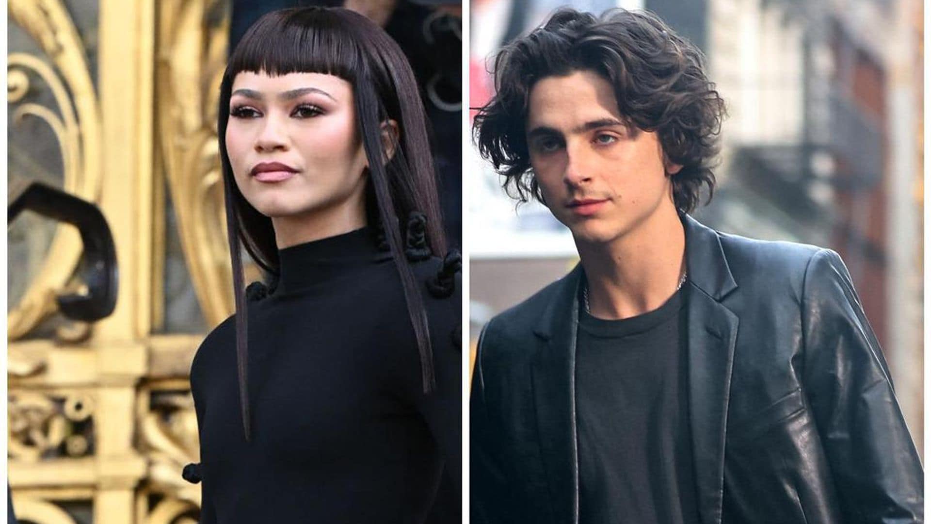 How Zendaya helped Timothée Chalamet with his first apartment in New York City