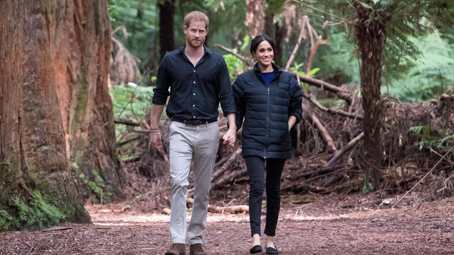 Meghan Markle and Prince Harry’s post-royal life: 11 important questions answered about their future