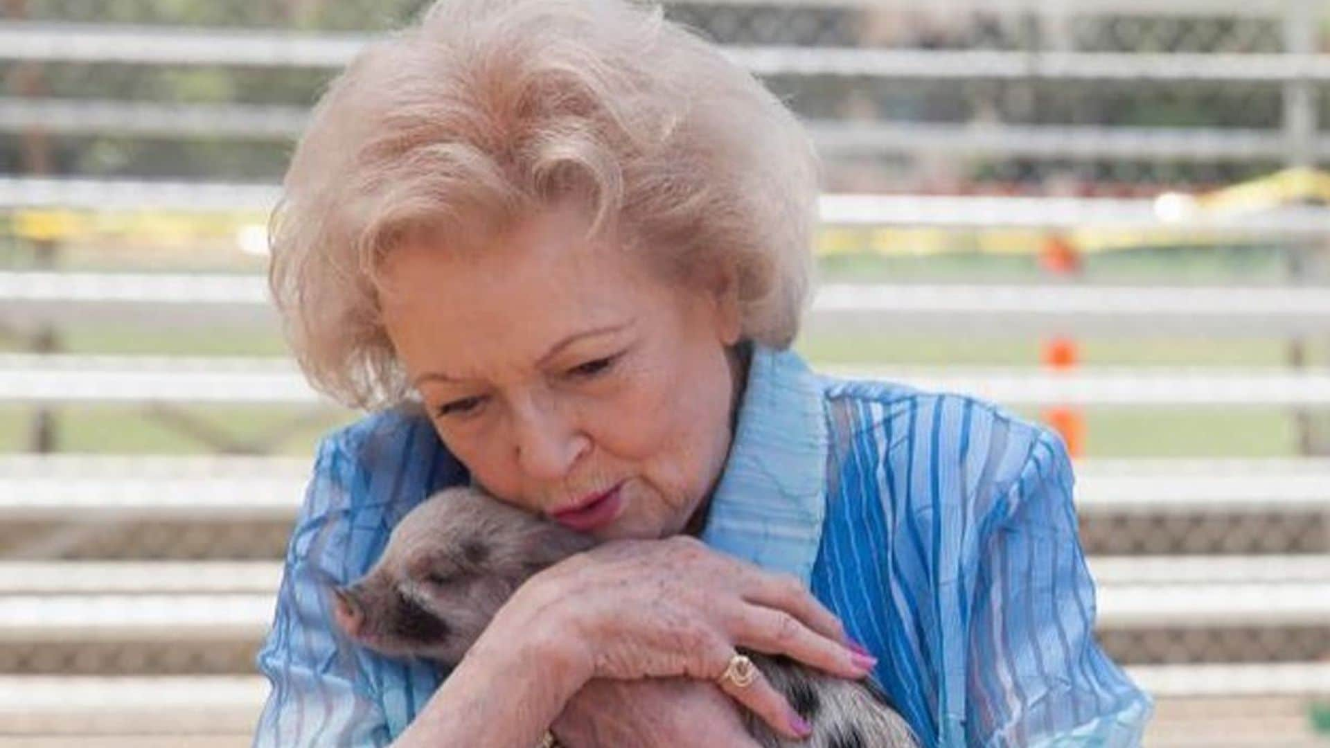 Betty White helped relocate penguins and sea otters during Hurricane Katrina