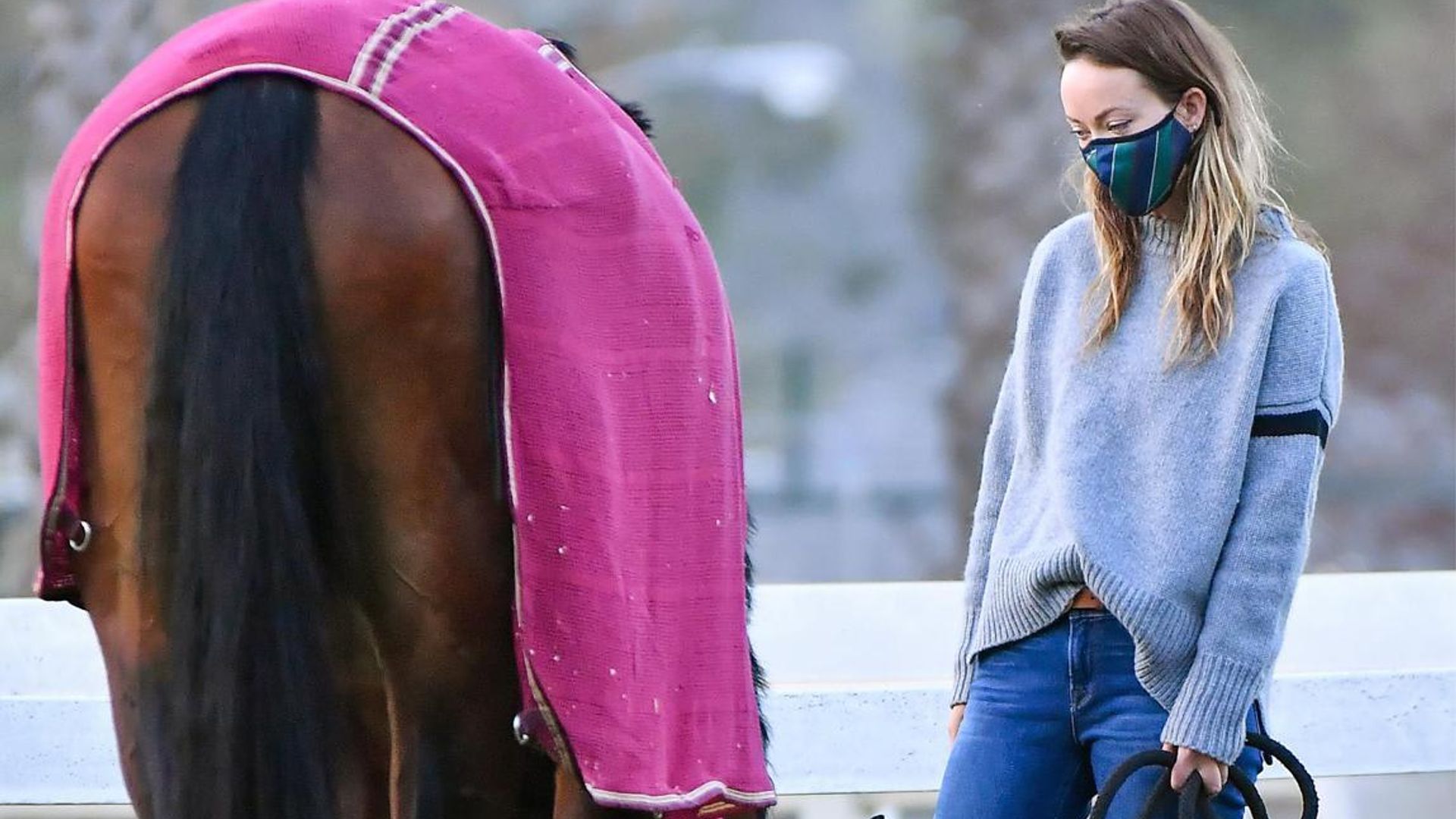 Olivia Wilde steps out to visit her horses following split from Jason Sudeikis