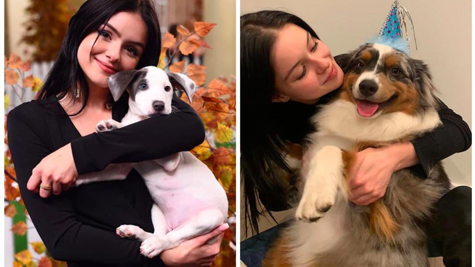 Ariel Winter has a soft spot for dogs: get to know her pets