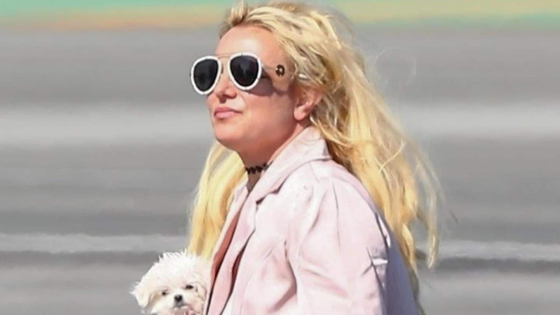 Britney Spears was recently pulled over and issued two violations