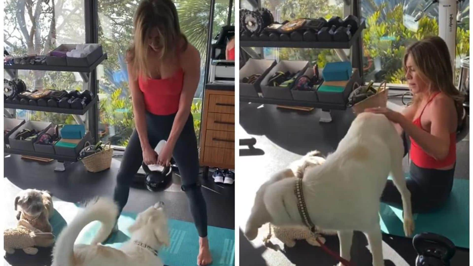 Watch Jennifer Aniston’s dogs adorably interrupt her workout