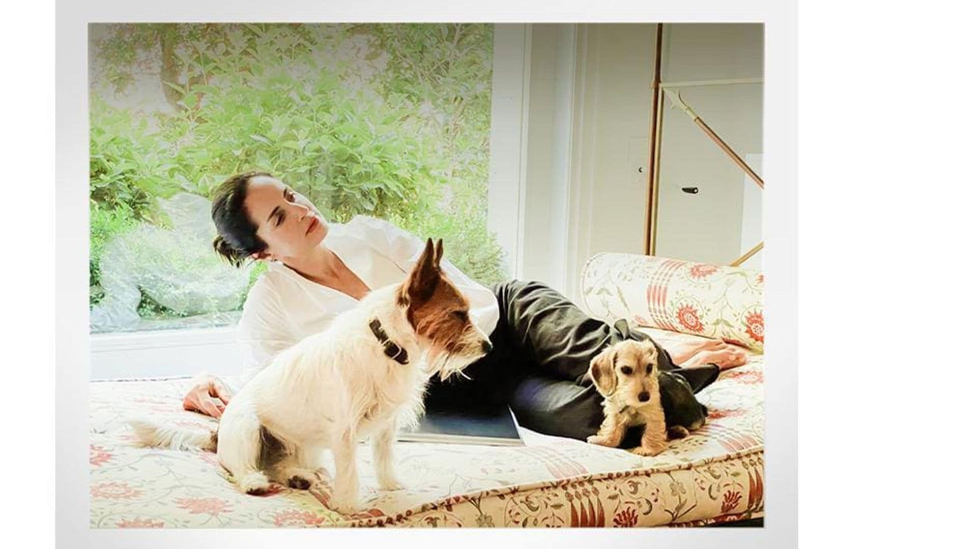 Carolina Herrera with her dogs.