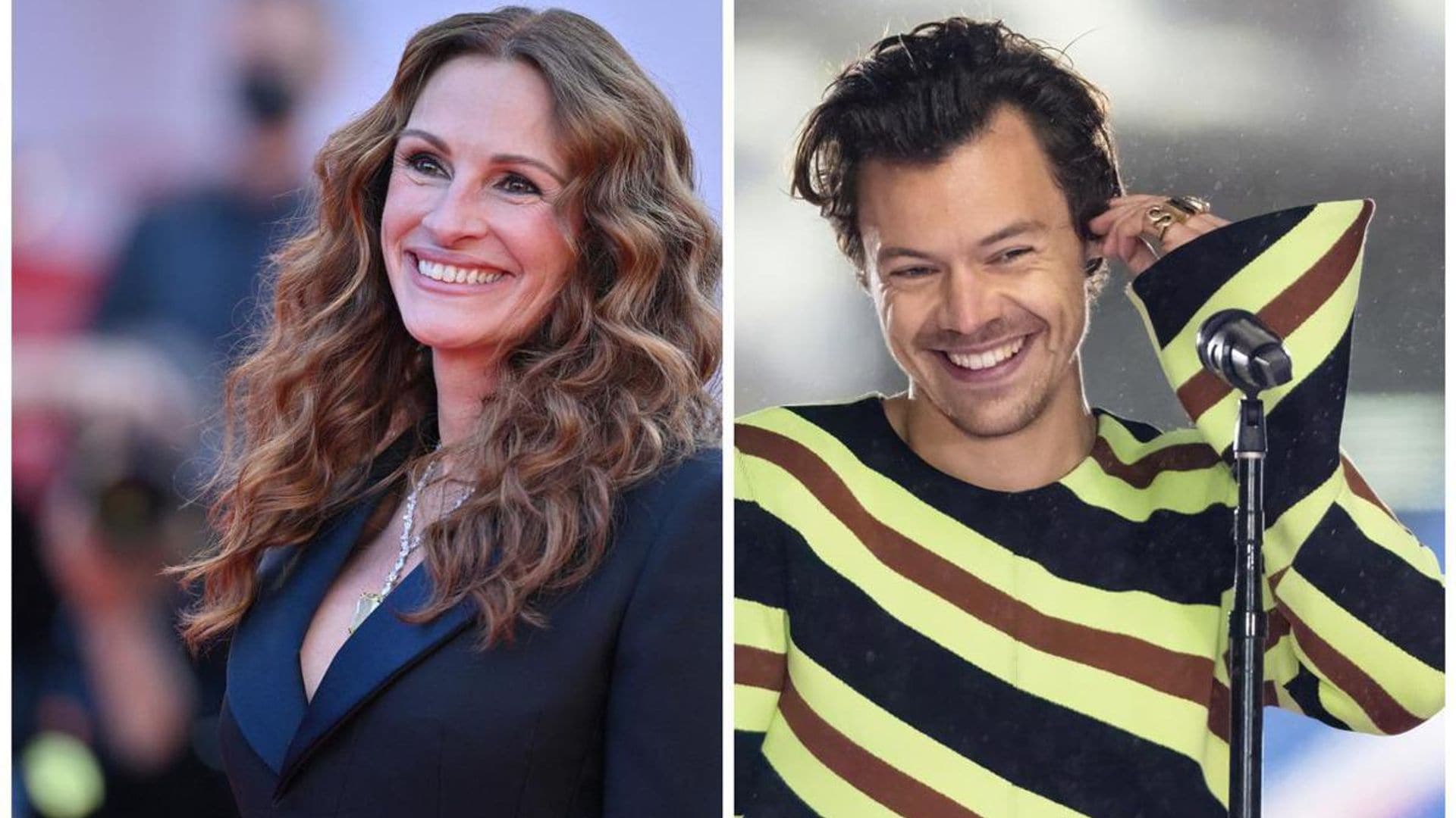 Julia Roberts details ‘sweet and charming’ encounter with Harry Styles