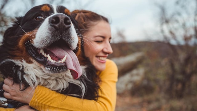 Can pets help improve our mood and personality?