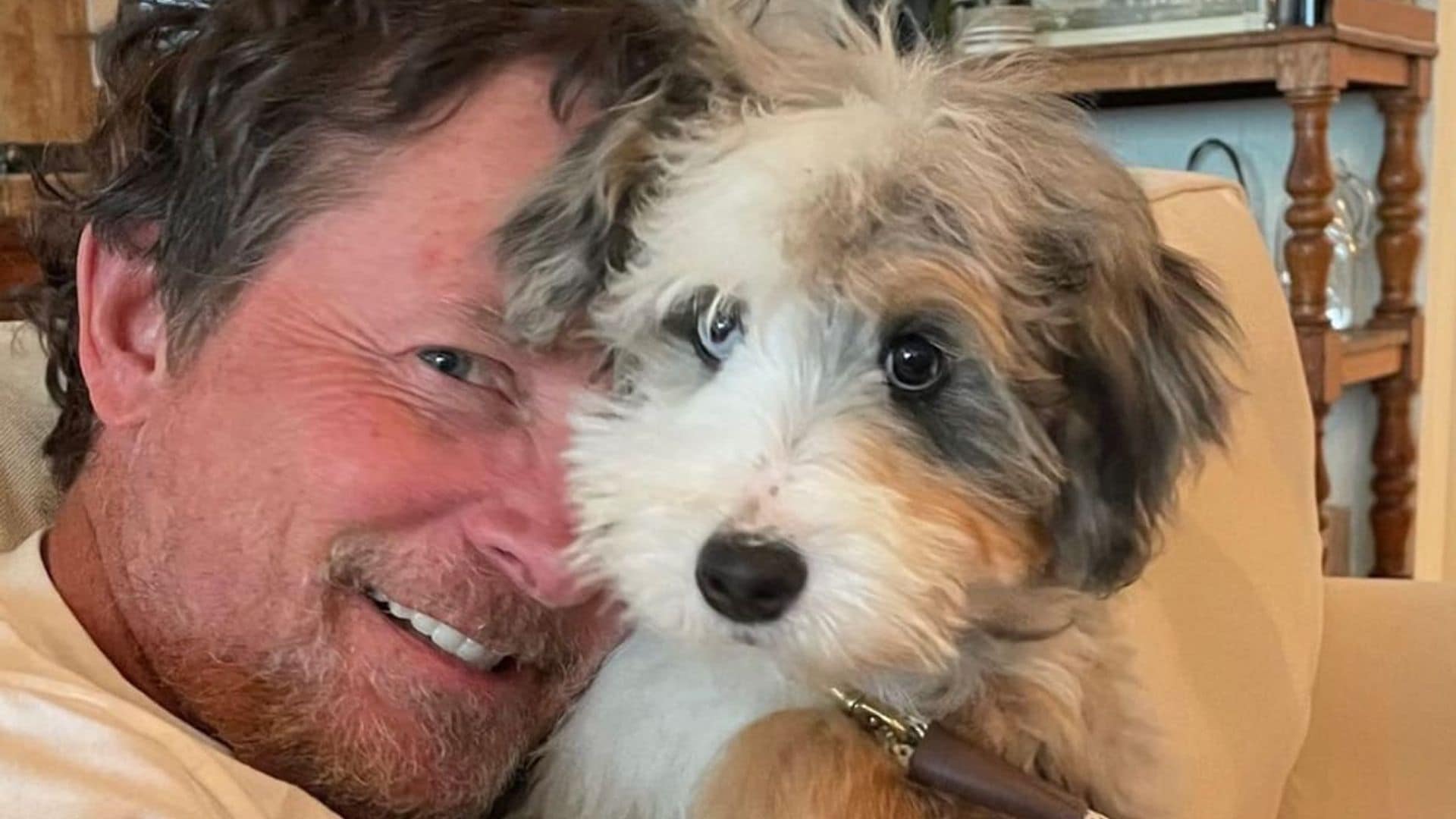 Pet of the week: Meet Blue, Michael J. Fox’s adorable new puppy